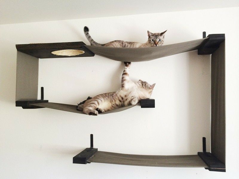 猫用 キャットタワー Catastrophic Creations 壁取り付け用 ファブリックキャットメイズ チェストナットナチュラルチェストナット