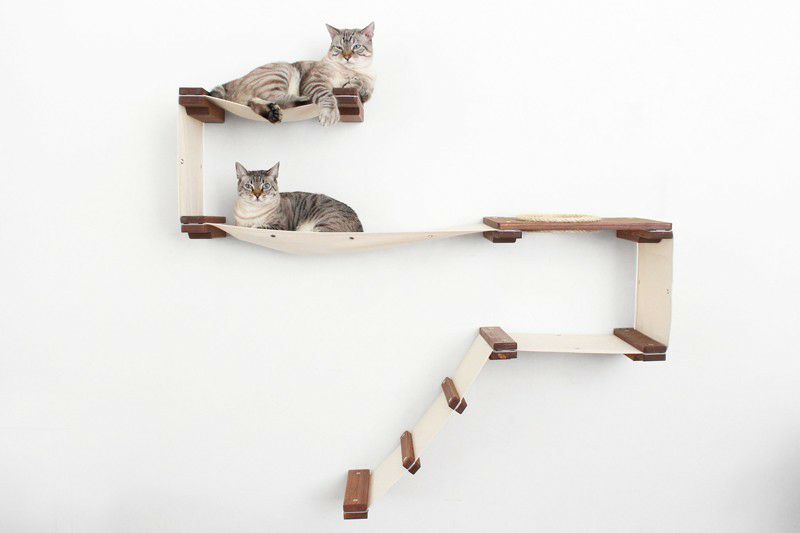 猫用 キャットタワー Catastrophic Creations 壁取り付け用 キャットモッドプレイ チェストナットナチュラル