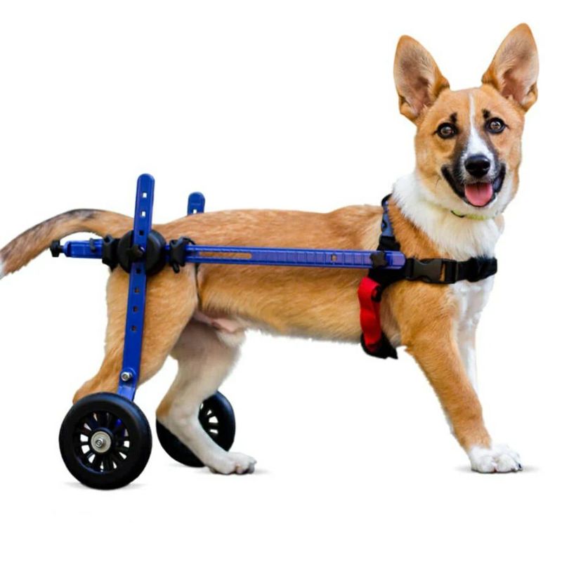 犬用 車いす Walkin Wheels ウォーキンホイールズ ドッグホイールチェア ミニB2 ブルー 10ｃｍホイール