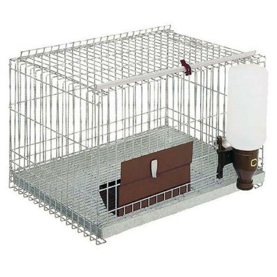 小動物用　ケージ 28周年セール中】【同梱・無地梱包不可】クリアフロント70High