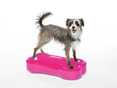 犬用 アジリティグッズ FitPAWS バランスディスク35.5ｃｍ ラズベリー オリジナルペットシーツと海外ペット用品のセレクトショップ  ALLFORWAN'sLIFE（オールフォーワンズライフ）