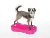 犬用 アジリティグッズ FitPAWS ドッグバランスフィットネス CanineGym K9FITbone Razzleberry