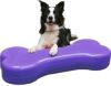 犬用 アジリティグッズ FitPAWS ドッグバランスフィットネス CanineGym K9FITbone ジャイアント Violet