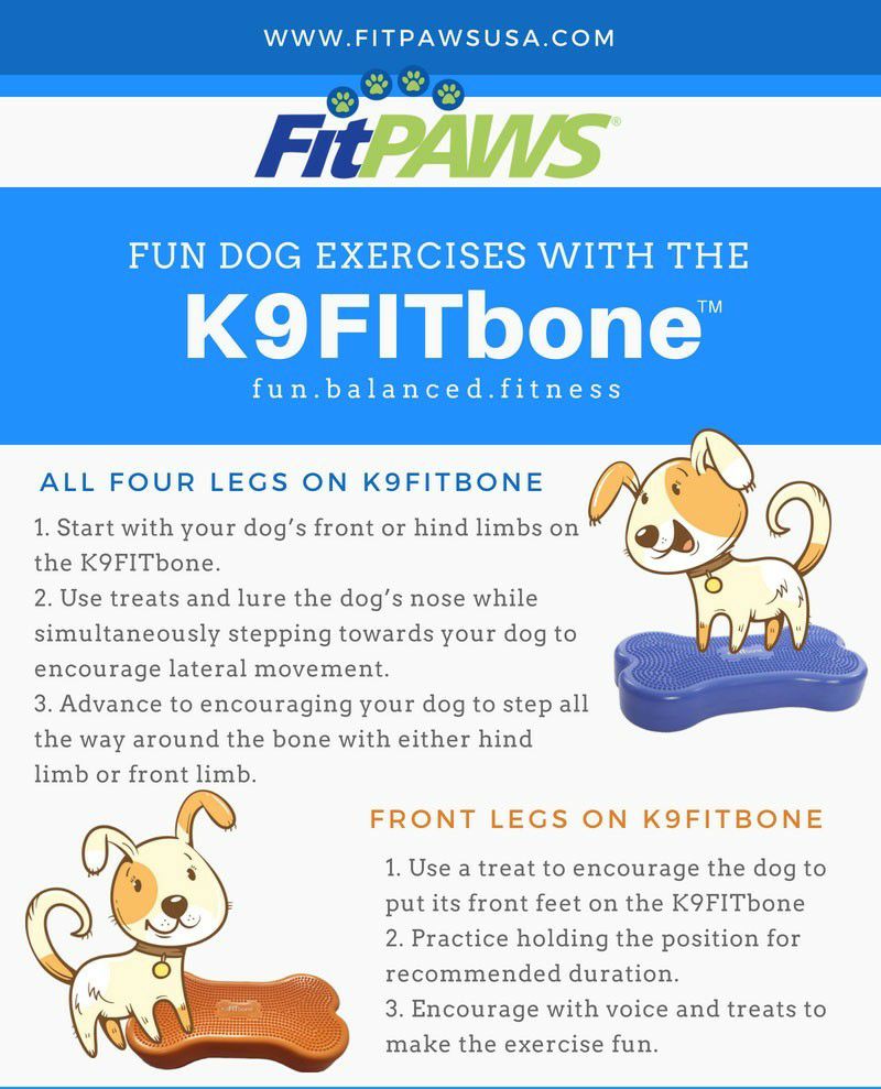 犬用 アジリティグッズ FitPAWS ドッグバランスフィットネス 犬用 アジリティグッズ FitPAWS ドッグバランスフィットネス