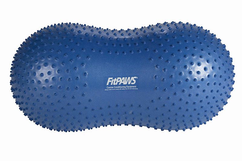 犬用 アジリティグッズ FitPAWS TRAX ピーナッツキット ブルー60cm