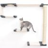 猫用 キャットタワー CatastrophiCreations 壁取り付け用 キャットモッドクライムトラック チェストナット×ブラックキャンバス