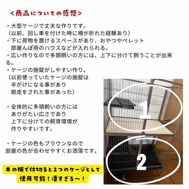 プレデター ライフサイズ ヘッドディスプレイ 1/1 プレデター ライフサイズ ヘッドディスプレイ 1/1 プレデター