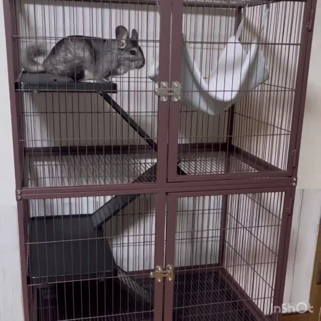 小動物用 ケージ プレビューペット PrevuePet ディライト
