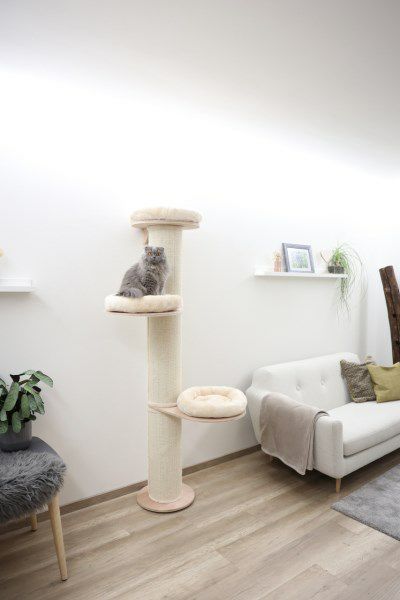 猫用 キャットタワー KERBL ケアブル  壁掛け式 ドロミットタワー