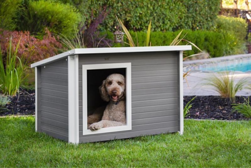 犬用 犬小屋 ニューエイジペット NEWAGEPET ドッグハウス ラスティックロッジドッグハウスXL グレー 屋外 中型犬 犬小屋