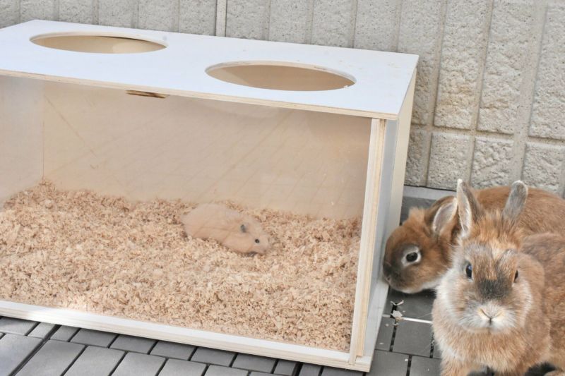 ドイツの有名ブランド！うさぎちゃんの専用ハウスです。 小動物用