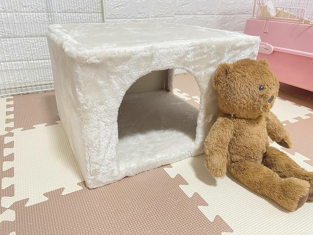 小動物用 おもちゃ TRIXIE トリクシー 知育玩具 ラビット
