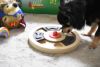 犬用 おもちゃ ベルギーFLAMINGOPET 知育玩具 ウッドブレイントレイン ヘラ