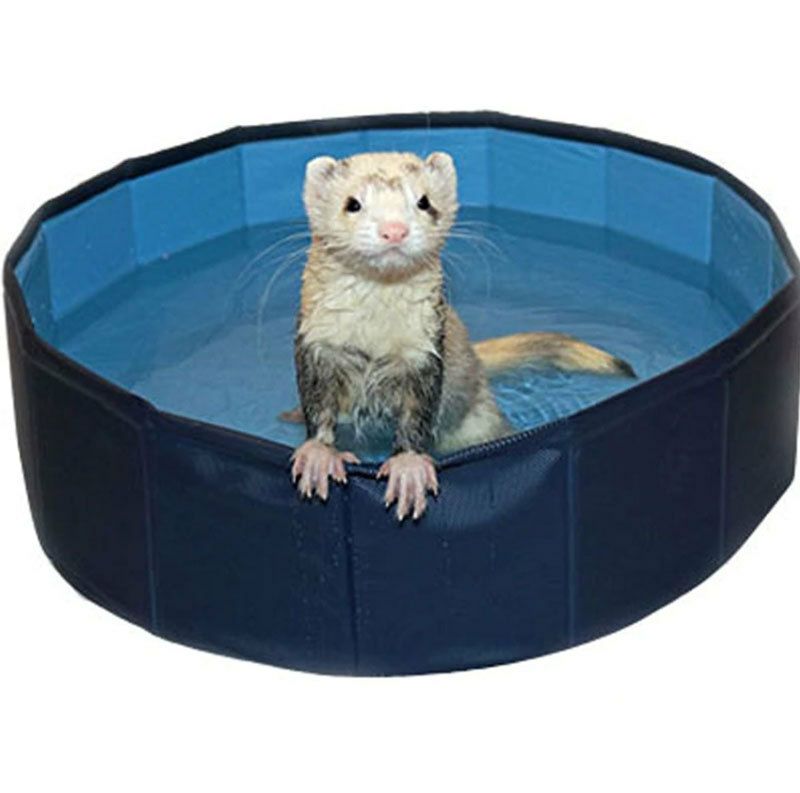 小動物用 プール MarshallPet マーシャルペット マーシャルフェレット