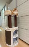 猫用 キャットタワー イタリアIMAC中型キャットタワー サヴァ キャット タワー 大型 猫 用