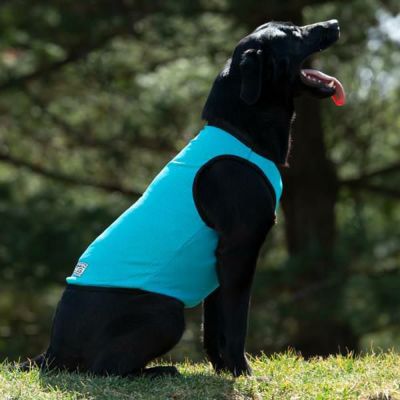 犬用 クールグッズ coolaid ケーナイン クーリングベスト S ターコイズブルー ひんやり 熱中症対策 クールグッズ