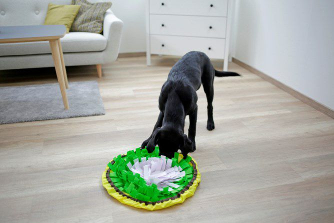 犬用 おもちゃ KERBL ケアブル  知育玩具 スニッフマットボウル