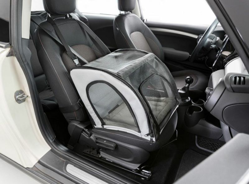 000000019284-10-l.jpg?t=