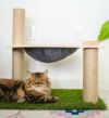 猫用 キャットタワー On2Pets キャットハンモックダークグレー