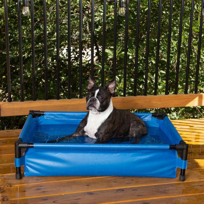 【特価セール】ペット用プール 犬 猫用浴槽 家庭用プール ール 庭 プール 室内