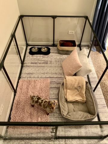 犬用 ケージ CLEARLY LOVED PETS ルシジウムドッグペンサークル