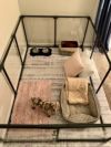 犬用 ケージ CLEARLY LOVED PETS ルシジウムドッグペンサークル Large 68.5ｃｍ Height ガンメタル