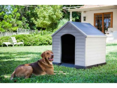 犬用 犬小屋 KERBL ケアブル ドッグハウス ケニー 屋外 大型犬 犬小屋 オリジナルペットシーツと海外ペット用品のセレクトショップ  ALLFORWAN'sLIFE（オールフォーワンズライフ）