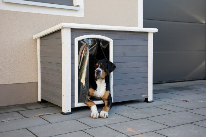 再入荷 犬小屋 屋外 屋外サークル XL 大型犬ドア付き ペットハウス