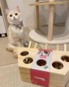 猫用 おもちゃ KERBL ケアブル 知育玩具 シンキング＆ラーニングトイ プッシュ