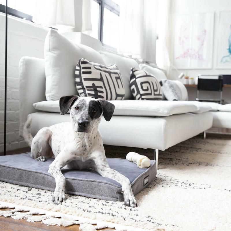 犬用 ケージ DIGGS PET 折りたたみケージ レボルクレートM用スヌーズ