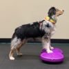 犬用 アジリティ用品 FitPAWS フレキシネスツインディスク マゼンダ