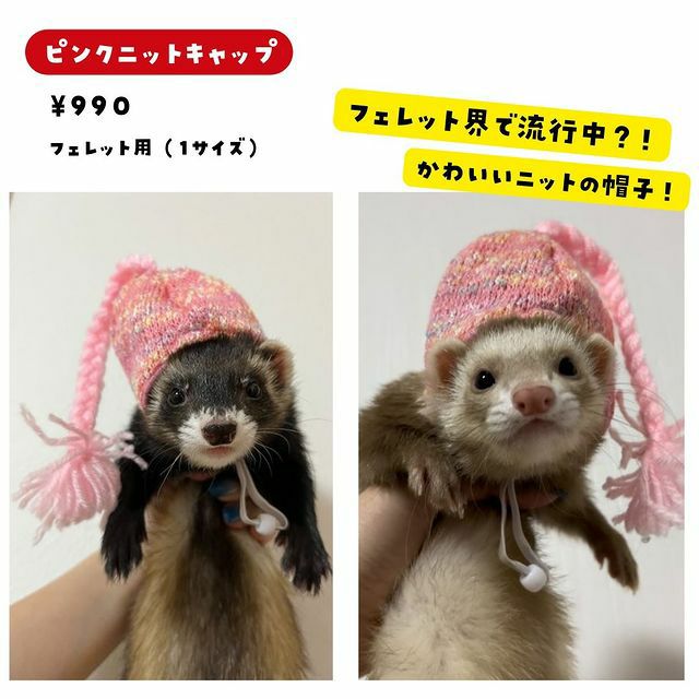 小動物用 フェレット 服 MarshalPet マーシャルペット フェレットの