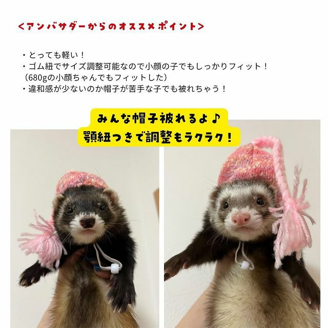 小動物用 フェレット 服 MarshalPet マーシャルペット フェレットの