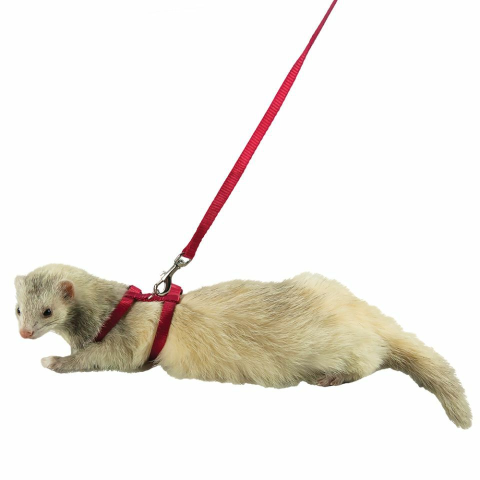 小動物用 フェレットハーネス Marshalpet マーシャルペット フェレット