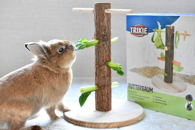 小動物用 食器 TRIXIE トリクシー  フードツリー うさぎ 知育玩具 おもちゃ