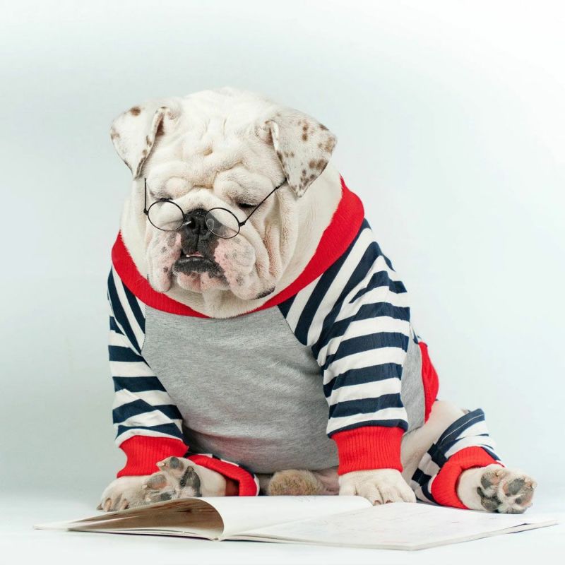 犬用 ドッグウェア WONTON ワンタン ワンジーパジャマ ストライプデザイン WONTONCOLLECTION