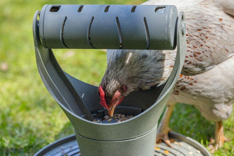 鳥用 食器 オランダBEEZTEES フードボウル バードプレイ&スナックタワー