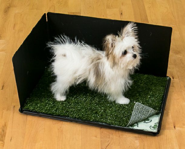 犬用 ペットシーツ プーチパッド インドアターフドッグポッティクラシックプレミア Connectable Tray/Pad w/ Turf & Hike Shield