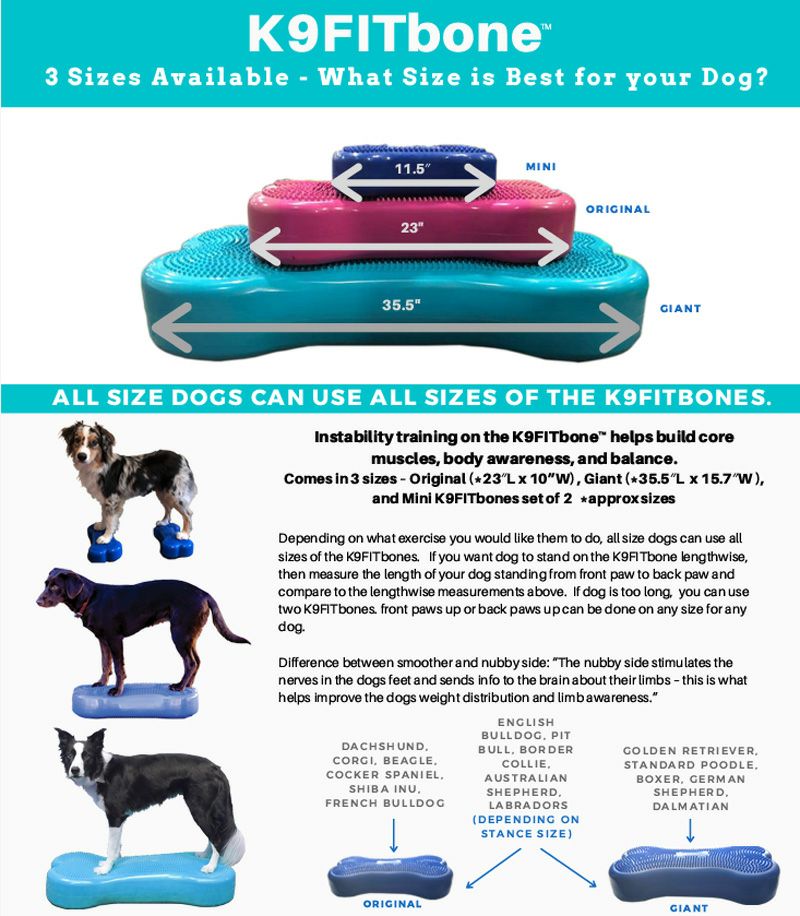 CanineGym　K9FITbone　犬用　アジリティグッズ　オリジナルペットシーツと海外ペット用品のセレクトショップ　ALLFORWAN'sLIFE（オールフォーワンズライフ）　FitPAWS　MINI　ドッグバランスフィットネス　マンゴー