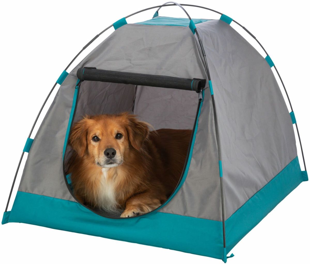 ドッグバッグ 犬用 テント - 犬用品