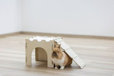 小動物用 ハウス KERBL ケアブル ロデントハウスwithランプ