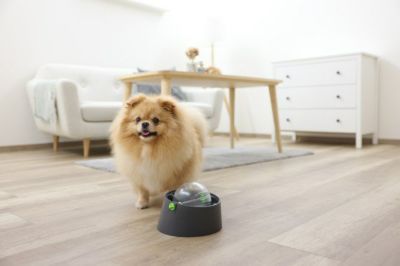 犬用 おもちゃ WAREPET 知育玩具 ドッグイーロジック オリジナルペット