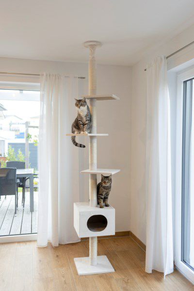 猫用 キャットタワー KERBL ケアブル スクラッチポスト フェルディ