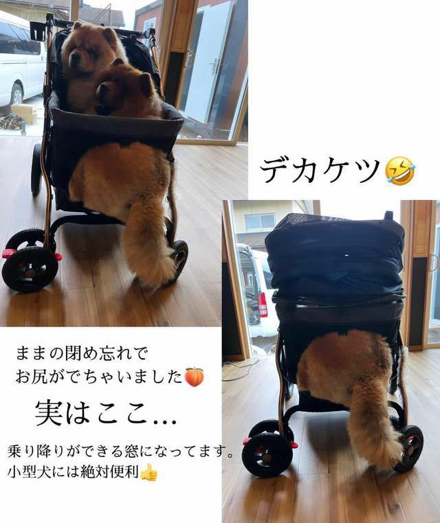 公式】犬用 ペットカート ALLWAN ペットストローラー オールワン