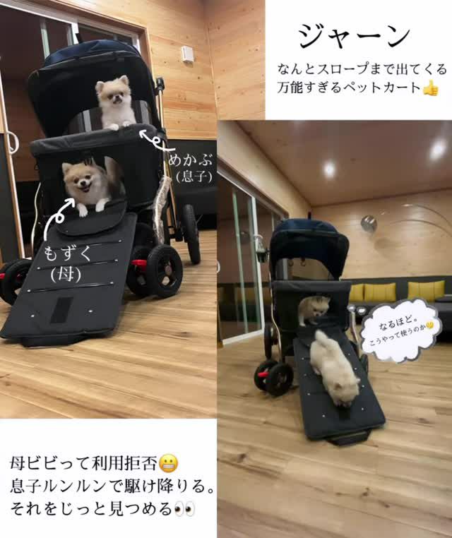 公式】犬用 ペットカート ALLWAN ペットストローラー オールワン