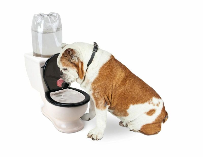 犬用 水飲み ビッグマウス BIGMOUTH トイレットウォーターディッシュ ウォーターボウル