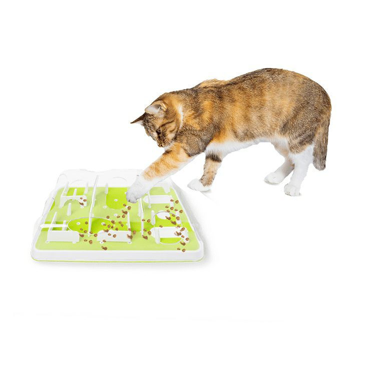 Lifelike Robotic Cats for Seniors - Joy for All – Ageless