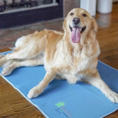犬用 クールグッズ  ザ・グリーンペットショップ クールペットパッド 節電 エコ 電気のいらない