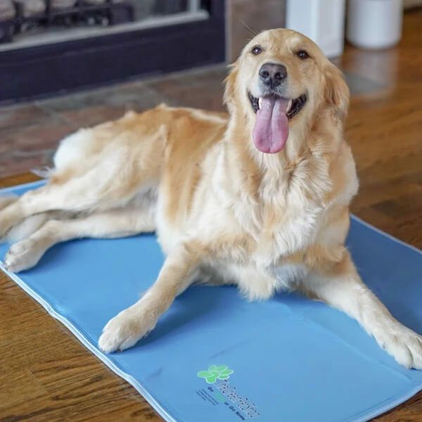犬用 クールグッズ ザ・グリーンペットショップ クールペットパッド 節電 エコ 電気のいらない