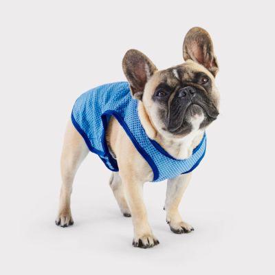 犬用 クールグッズ GFPET ジーエフペット Elasto-Fit ICEVEST アイスベスト クールベスト ペットウェア